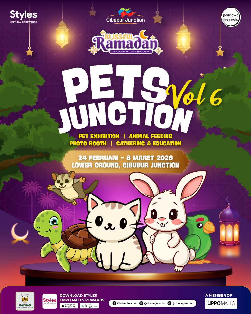 WhatsApp Image 2026-02-25 at 15.00